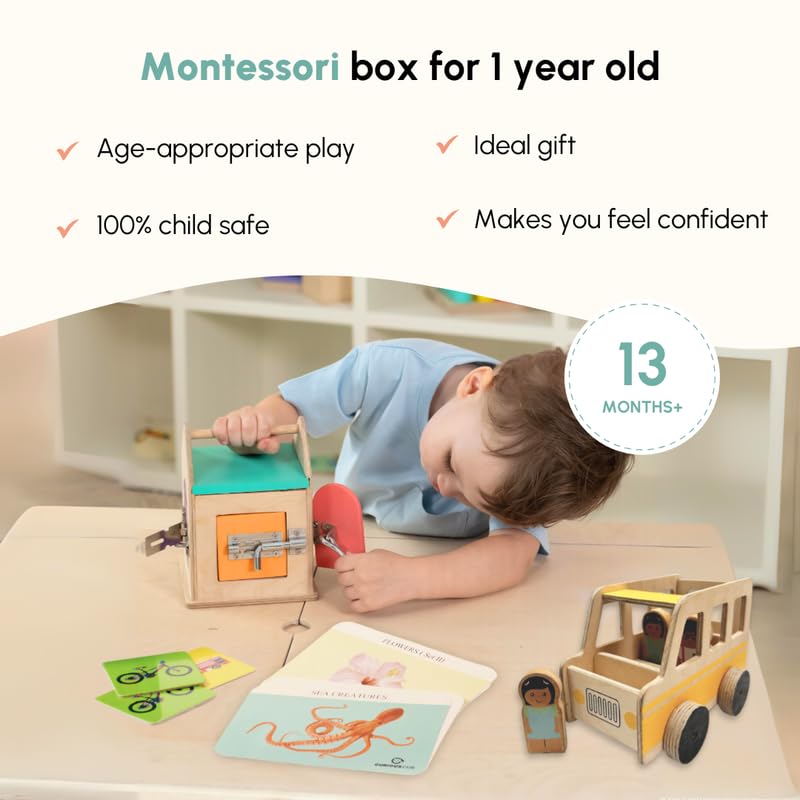 Curious Cub Montessori Wooden Toys Learning Game Level 10