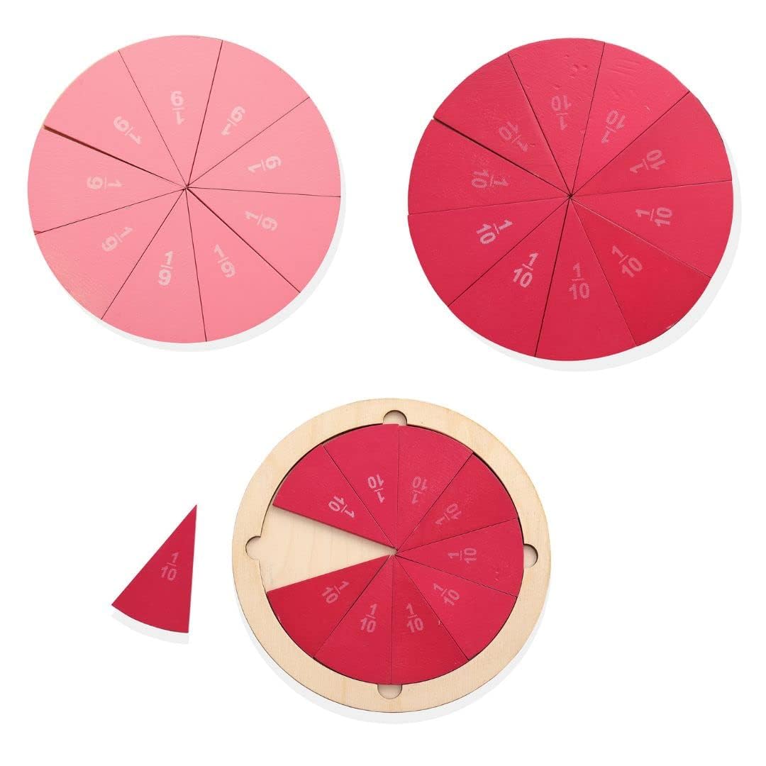 Nesta Toys - Montessori Wooden Educational Puzzles - 3 Variants: Brain Anatomy, Human Body Organs & Fraction Circles