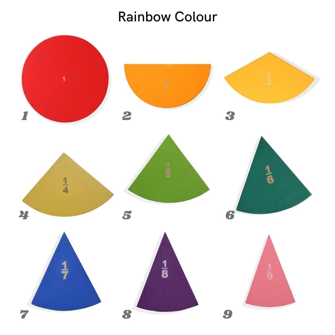 Nesta Toys - Montessori Wooden Educational Puzzles - 3 Variants: Brain Anatomy, Human Body Organs & Fraction Circles