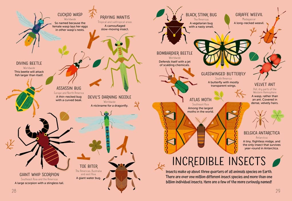 Curious Words for Clever Kids