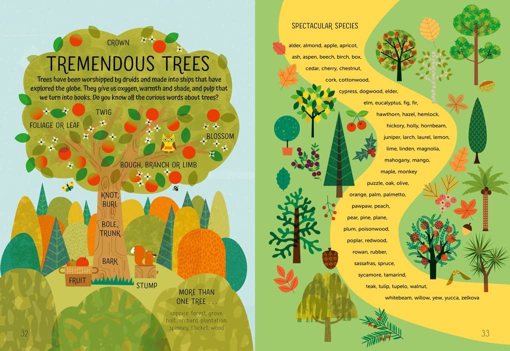 Curious Words for Clever Kids