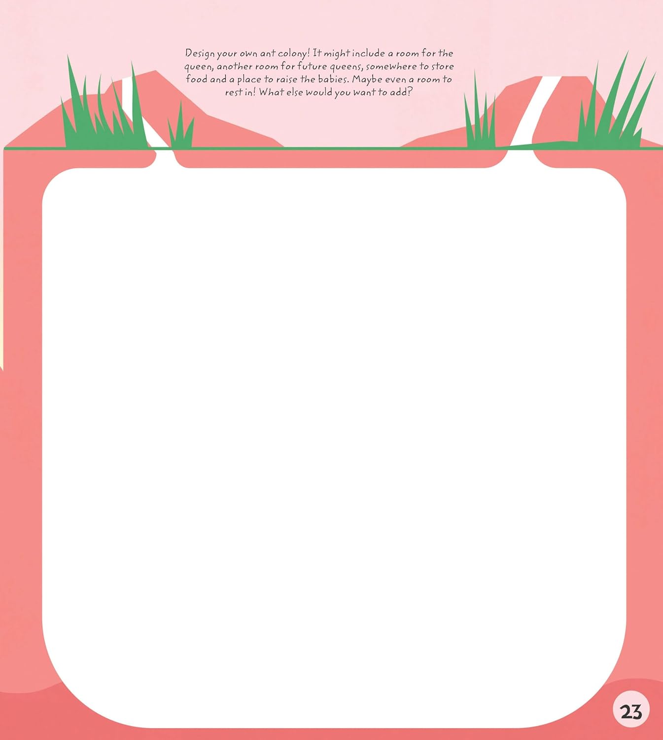 Entomology Activity Book