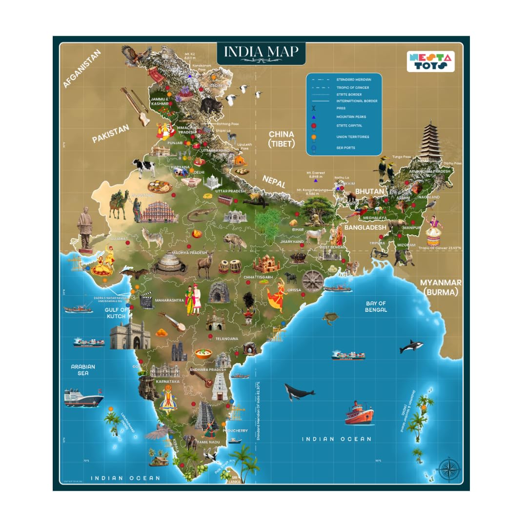 Nesta Toys - Educational Jigsaw Puzzles (64 Pcs) - 4 Variants: India Map, Modes of Transport, Prehistoric Park, Construction Site