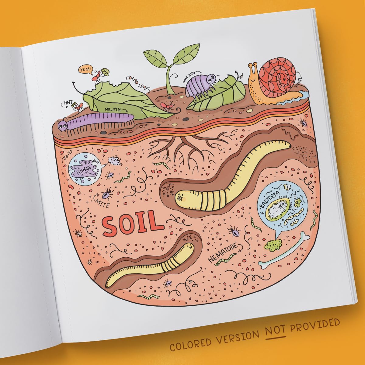 What's Inside a Garden?: Science and Nature Coloring Book