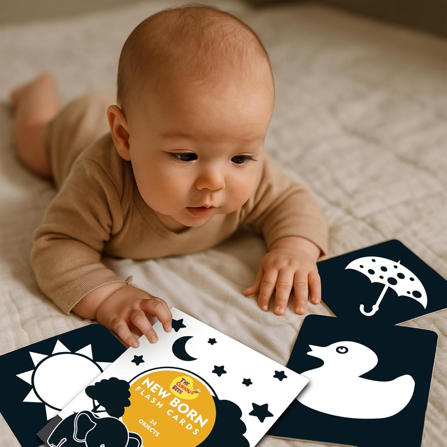 The Curious Bees - High Contrast New Born Anti-Glare Cards | 24 Objects for Visual Stimulation, Cognitive & Sensory Development of 0-6 Month Old Infants
