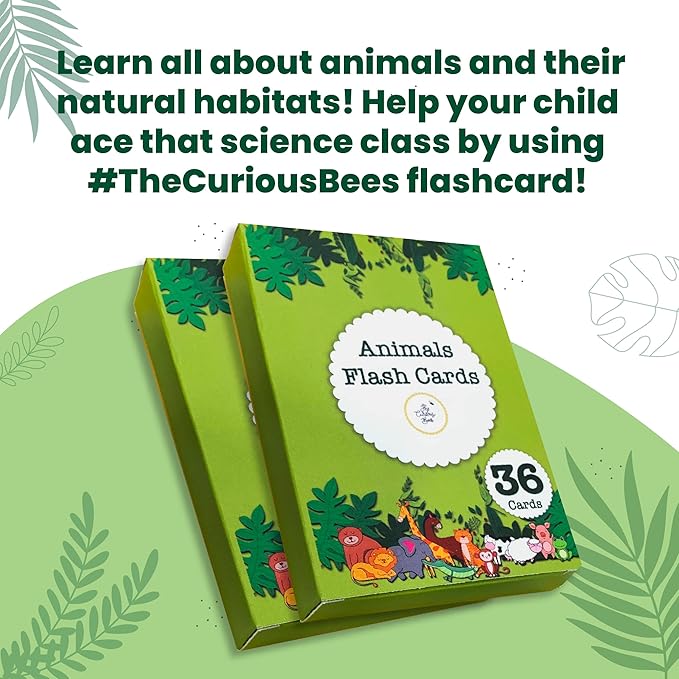 The Curious Bees Flash Cards - High Contrast New Born Anti-Glare Cards & Other Variants