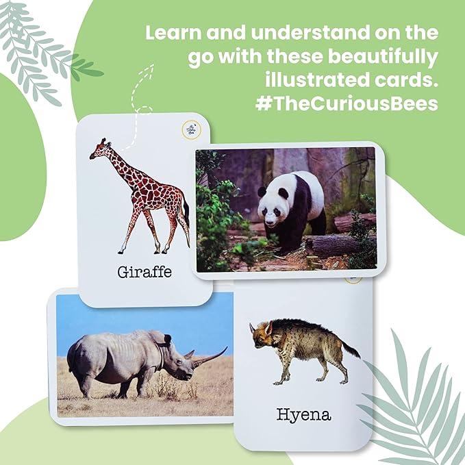 The Curious Bees Flash Cards - High Contrast New Born Anti-Glare Cards & Other Variants