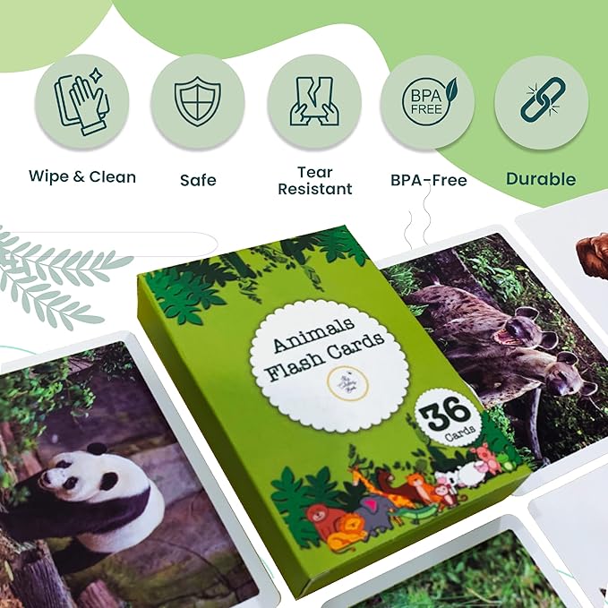 The Curious Bees Flash Cards - High Contrast New Born Anti-Glare Cards & Other Variants