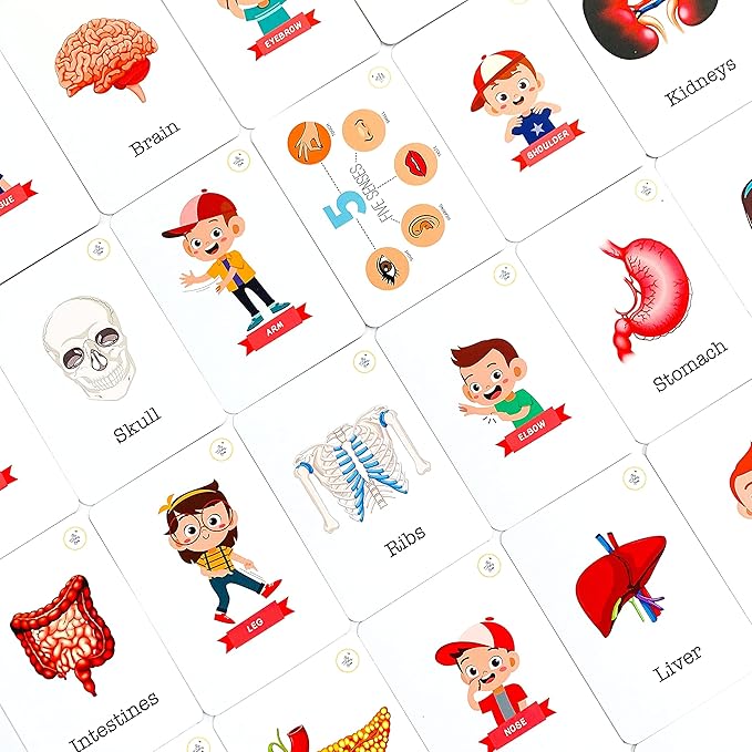 The Curious Bees Flash Cards - High Contrast New Born Anti-Glare Cards & Other Variants