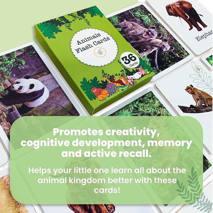 The Curious Bees Flash Cards - High Contrast New Born Anti-Glare Cards & Other Variants