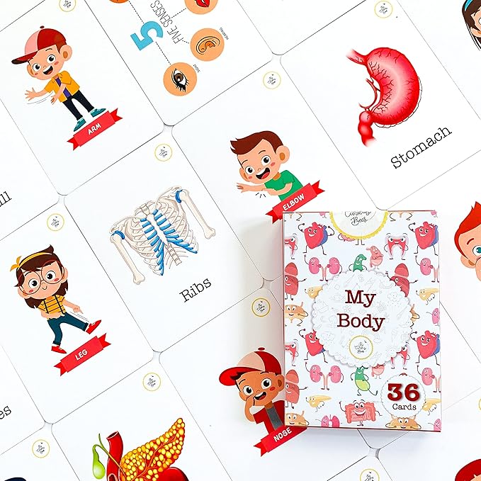 The Curious Bees Flash Cards - High Contrast New Born Anti-Glare Cards & Other Variants