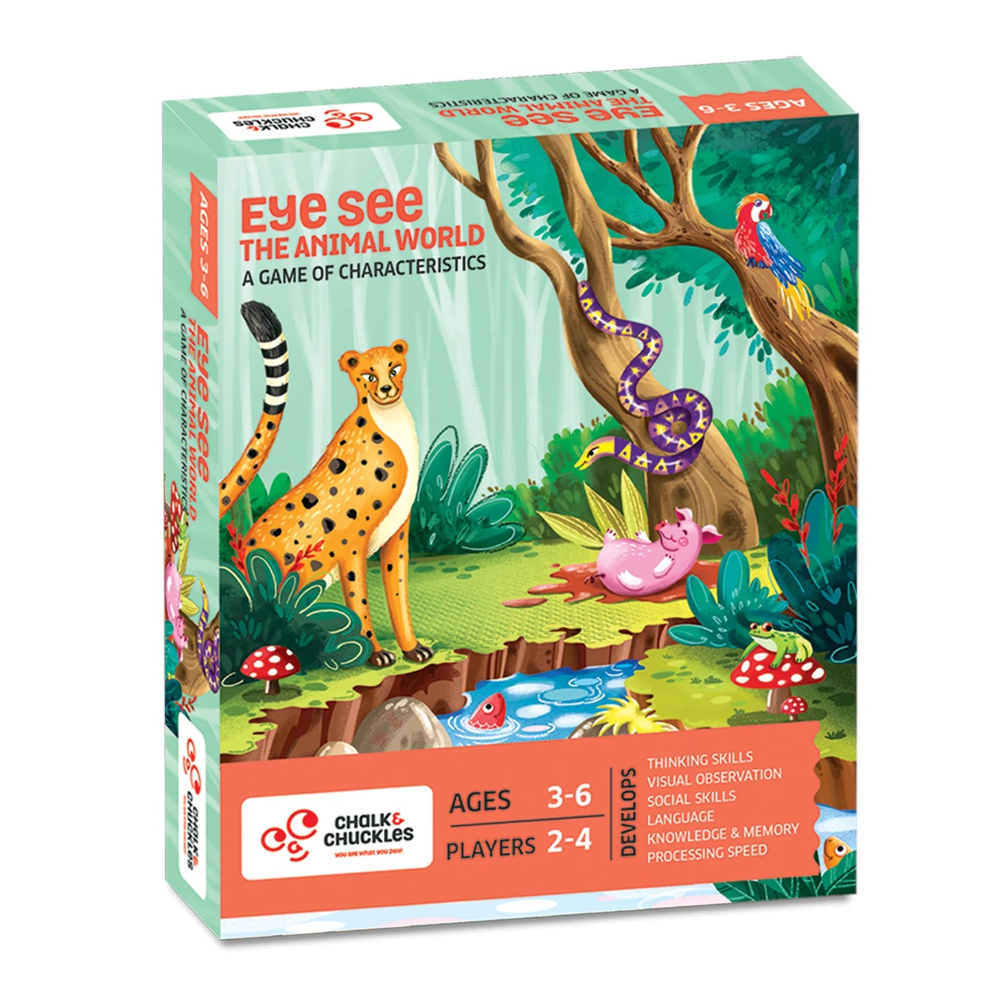 Chalk & Chuckles- Eye See- The Animal World