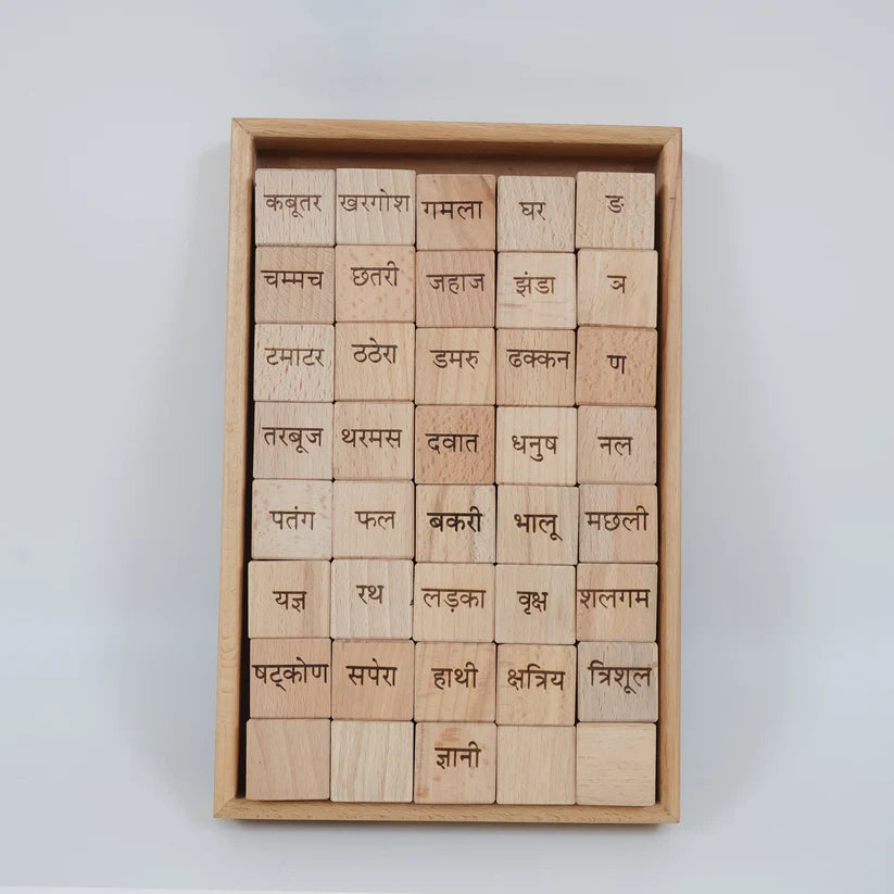 MoonToys- Educational Blocks Set (5-In-1) - Hindi
