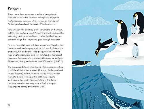 A Ladybird Book: Sea Creatures - Aaram Parents