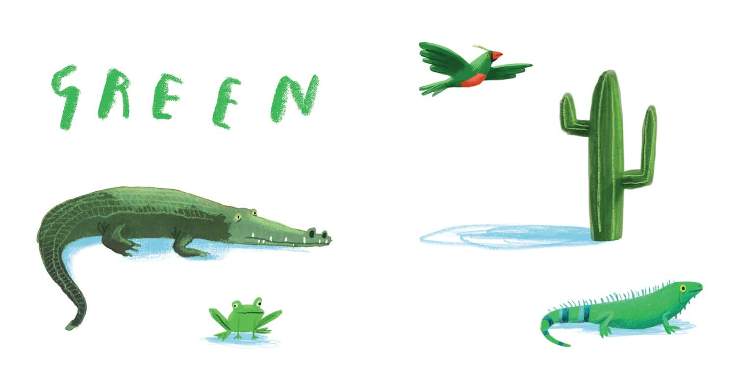 Here We Are — Book Of Colours: From the creator of the #1 bestselling Here We Are