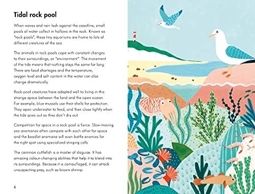 A Ladybird Book: Sea Creatures - Aaram Parents