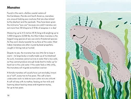 A Ladybird Book: Sea Creatures - Aaram Parents