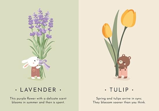 FIRST MOMENTS N. 2 - MY FIRST CARDS. NATURE - Aaram Parents