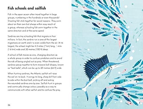A Ladybird Book: Sea Creatures - Aaram Parents