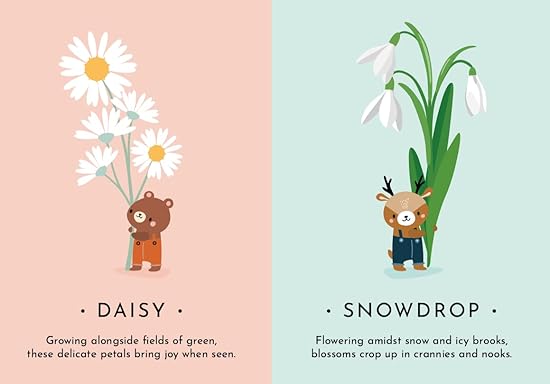 FIRST MOMENTS N. 2 - MY FIRST CARDS. NATURE - Aaram Parents