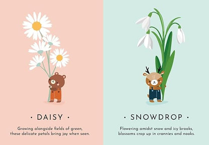 FIRST MOMENTS N. 2 - MY FIRST CARDS. NATURE - Aaram Parents