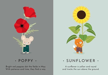 FIRST MOMENTS N. 2 - MY FIRST CARDS. NATURE - Aaram Parents