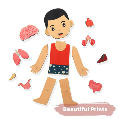 Nesta Toys - Montessori Wooden Educational Puzzles - 3 Variants: Brain Anatomy, Human Body Organs & Fraction Circles