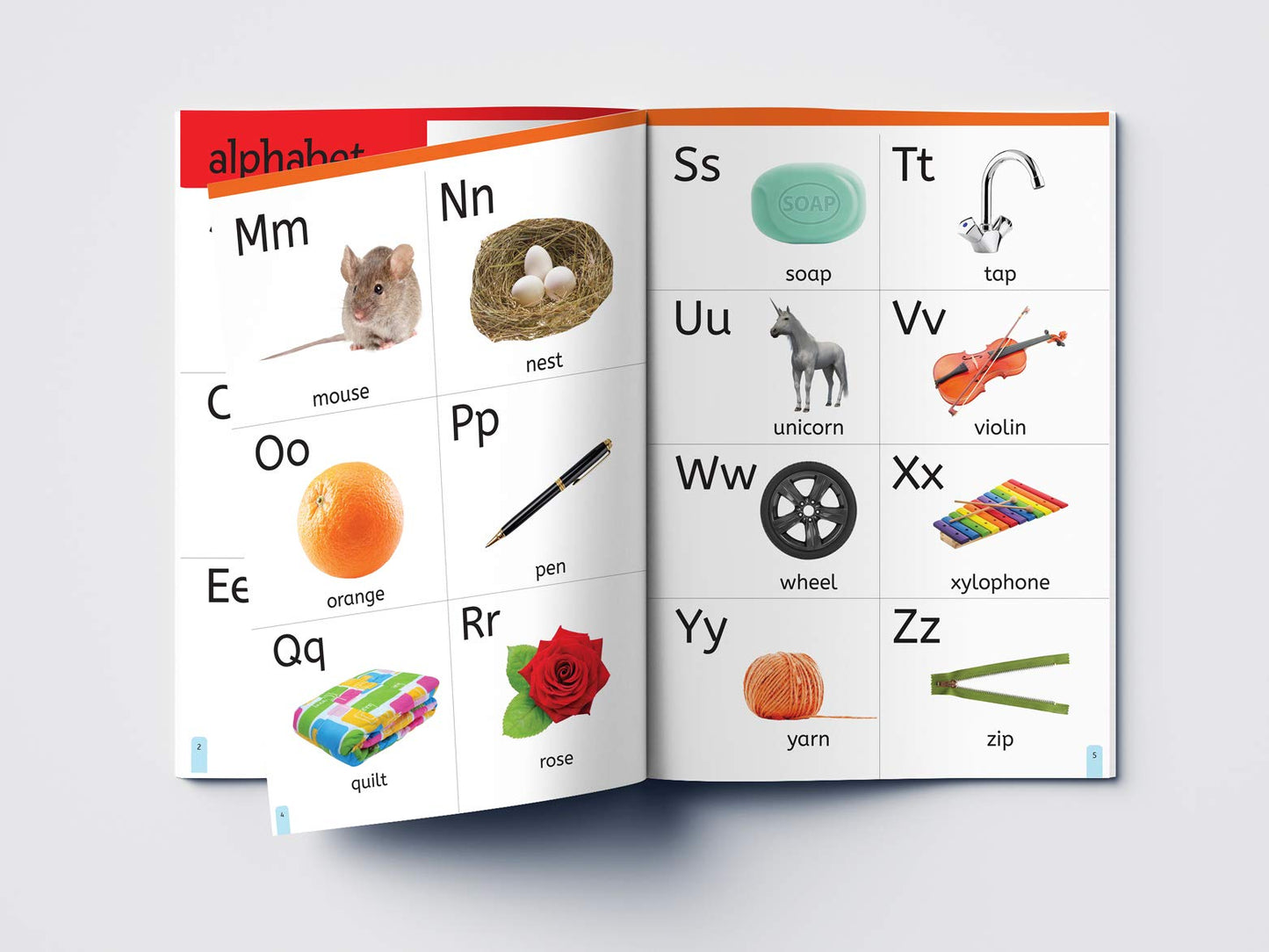 My First 1000 Words: Early Learning Picture Book
