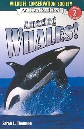 Amazing Whales! - Aaram Parents