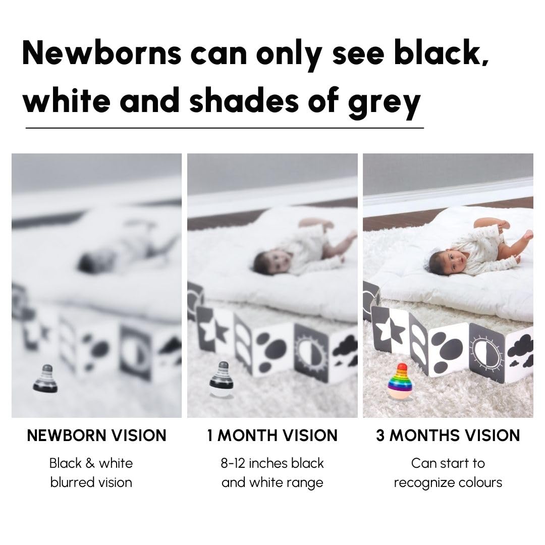 Curious Cub Montessori Flash Cards for Babies & Infants | Visual Stimulation & Sensory Development for 0-12 Months | Fun & Easy Learning for Toddlers | High Contrast Black and White Flashcards