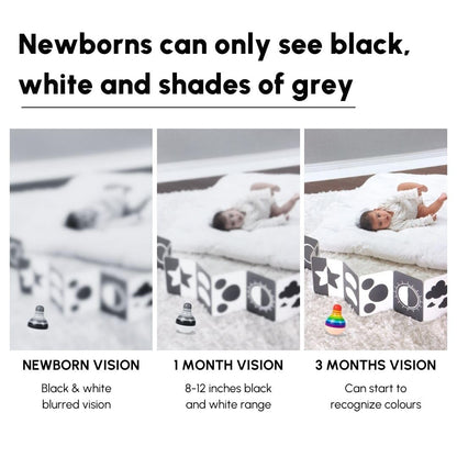 Curious Cub Montessori Flash Cards for Babies & Infants | Visual Stimulation & Sensory Development for 0-12 Months | Fun & Easy Learning for Toddlers | High Contrast Black and White Flashcards