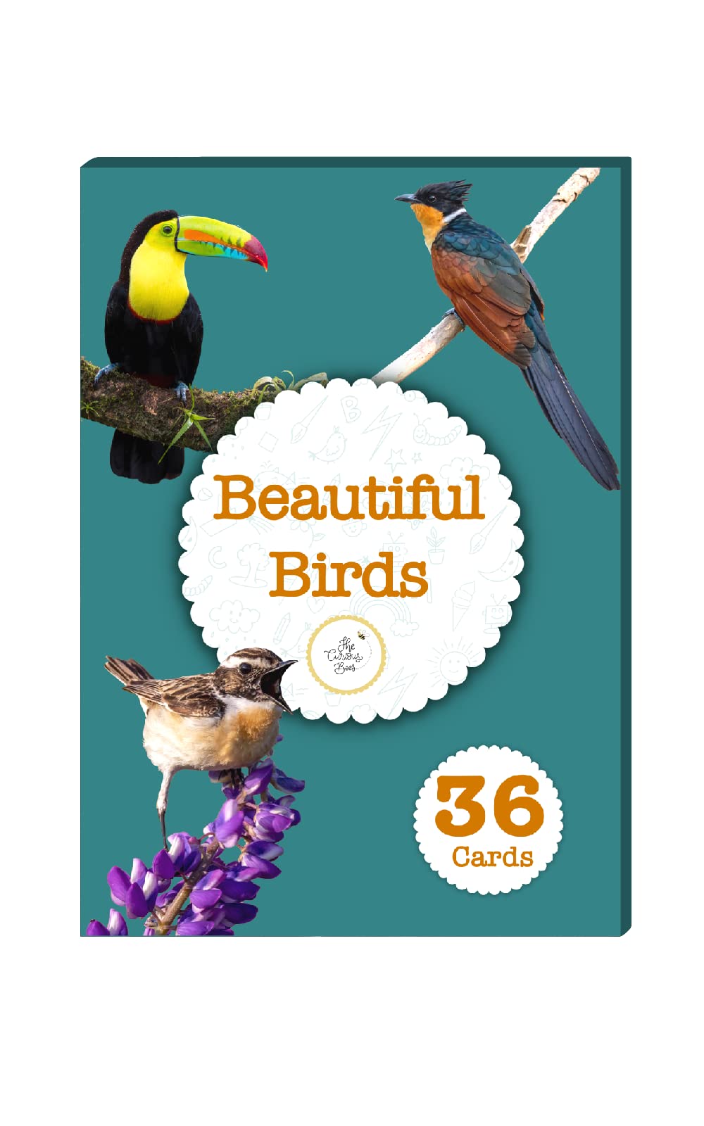The Curious Bees - High Contrast New Born Anti-Glare Cards | 24 Objects for Visual Stimulation, Cognitive & Sensory Development of 0-6 Month Old Infants