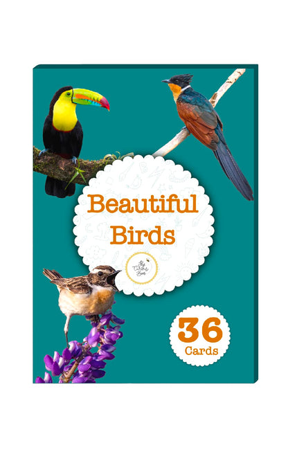 The Curious Bees - High Contrast New Born Anti-Glare Cards | 24 Objects for Visual Stimulation, Cognitive & Sensory Development of 0-6 Month Old Infants