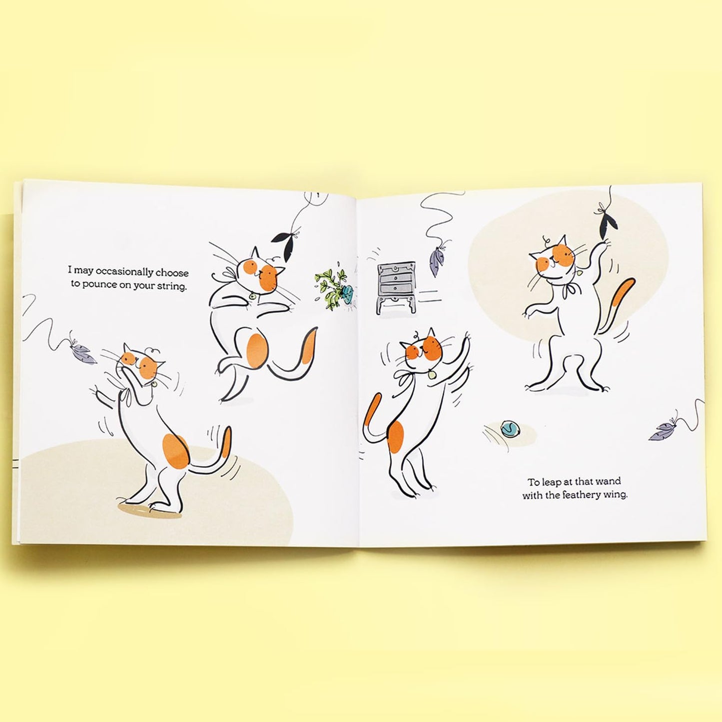 The Cat Is Not a Dog - Daffodil Lane Books by Elizabeth Anderson