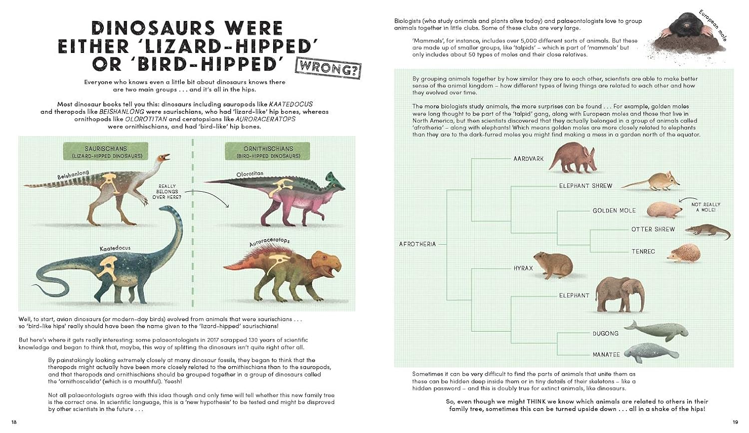Everything You Know About Dinosaurs Is Wrong]