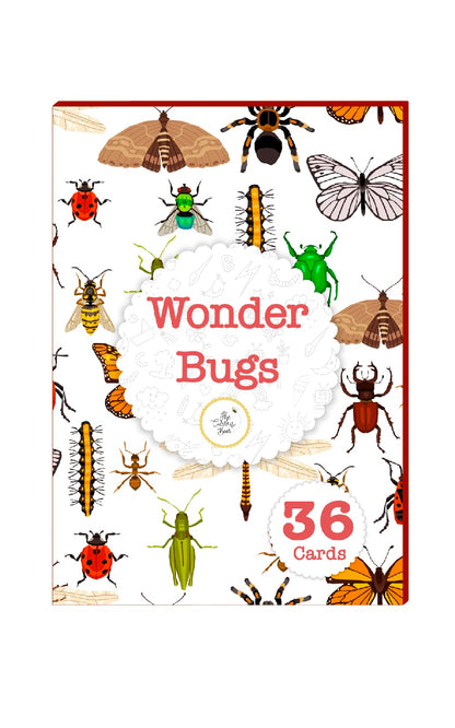 The Curious Bees - High Contrast New Born Anti-Glare Cards | 24 Objects for Visual Stimulation, Cognitive & Sensory Development of 0-6 Month Old Infants