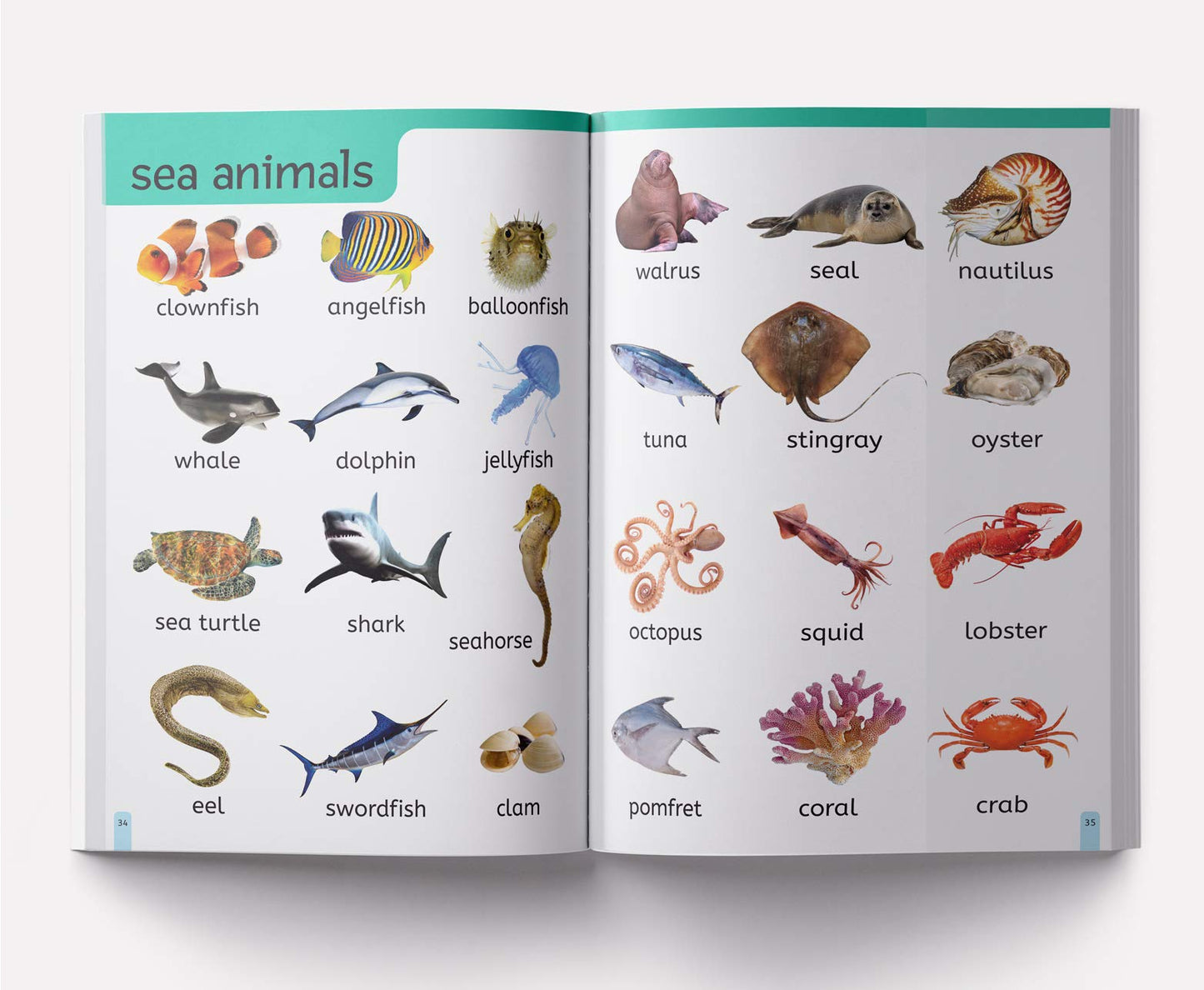 My First 1000 Words: Early Learning Picture Book