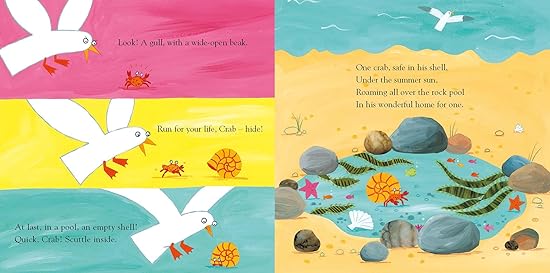 Sharing a Shell - Aaram Parents