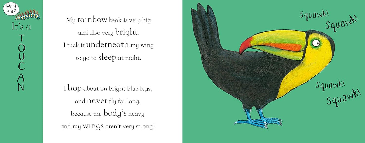 Axel Scheffler's Flip Flap Jungle: A Journey of the Senses