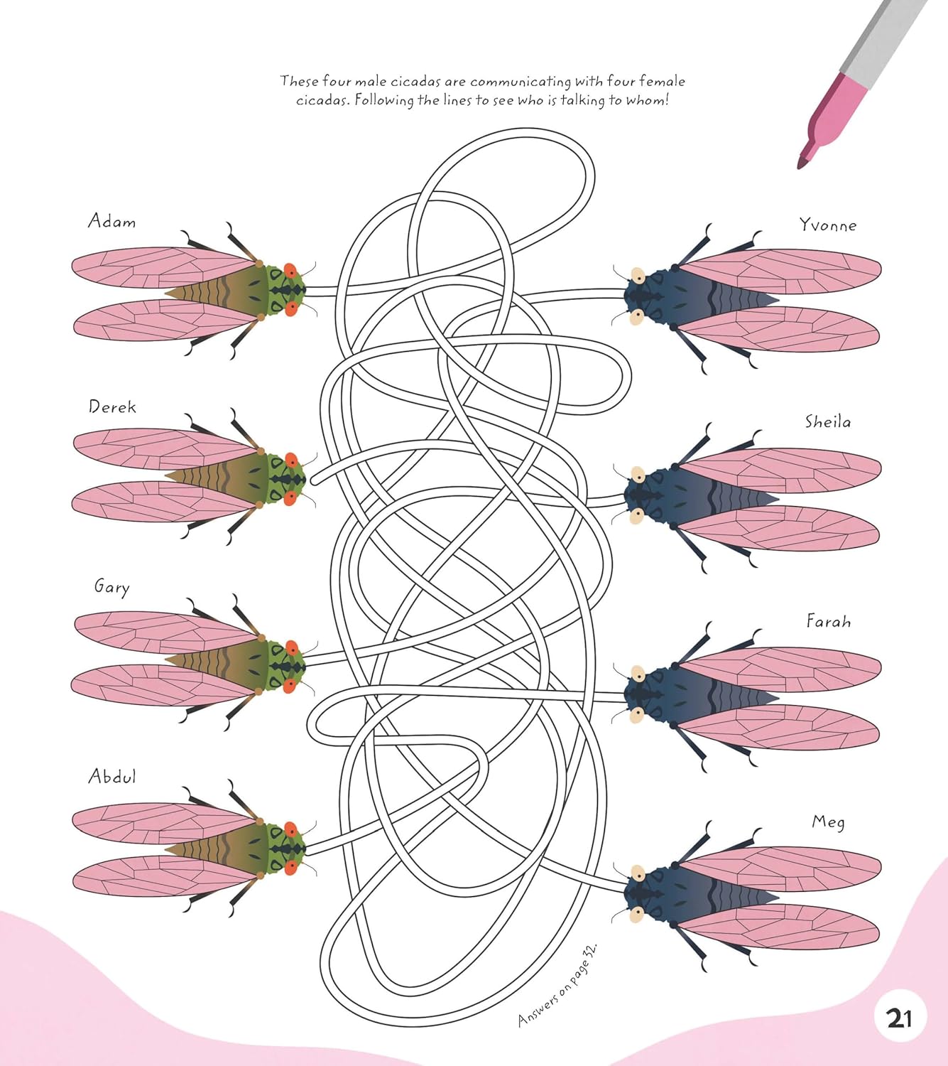Entomology Activity Book