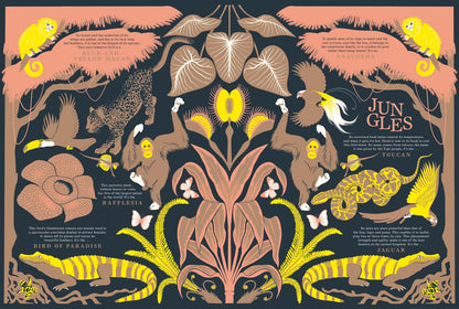 Nature - The Stunning New Illustrated Non-Fiction Book All About Animals, Plants And The World!