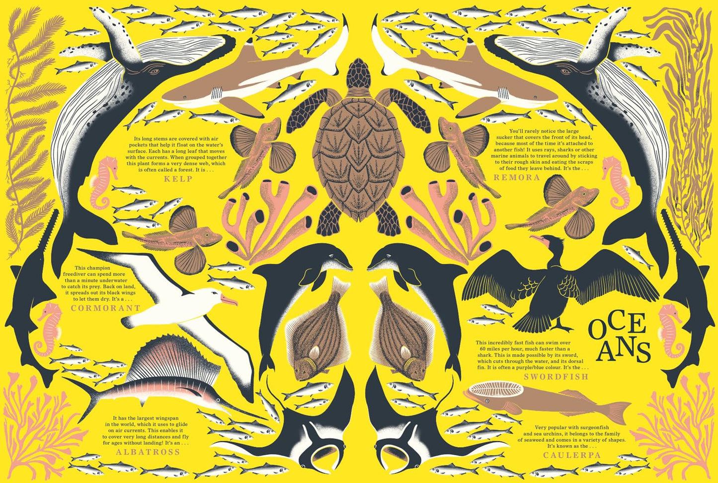 Nature - The Stunning New Illustrated Non-Fiction Book All About Animals, Plants And The World!
