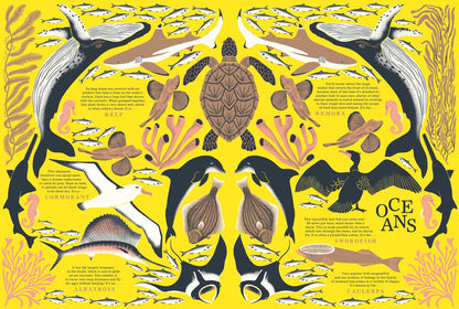 Nature - The Stunning New Illustrated Non-Fiction Book All About Animals, Plants And The World!