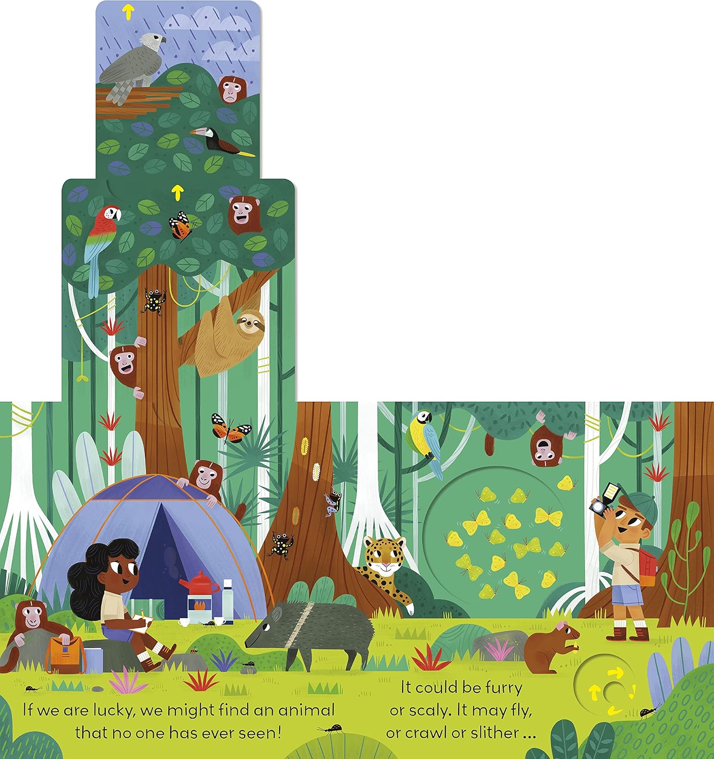 Little World: Jungle Journey: A push-and-pull adventure [Board book]