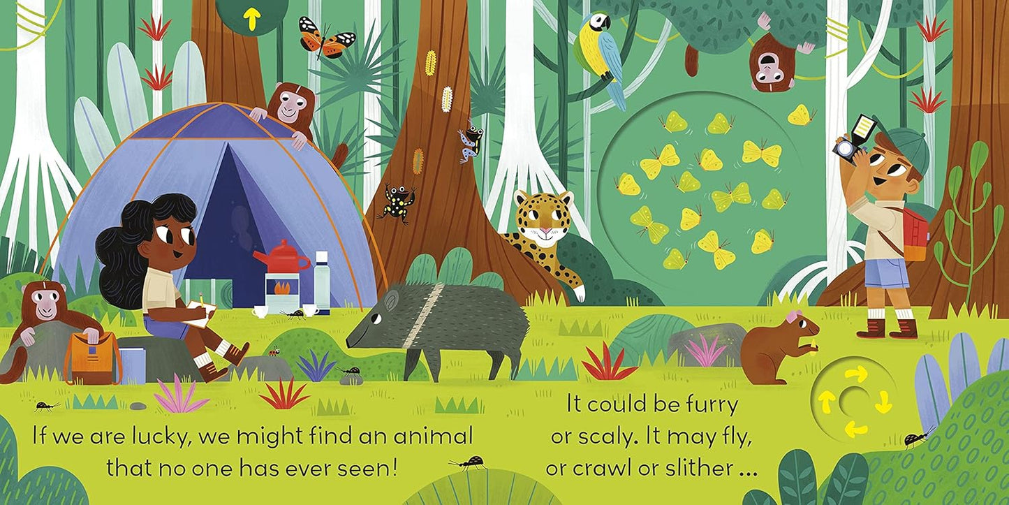 Little World: Jungle Journey: A push-and-pull adventure [Board book]