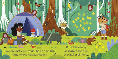 Little World: Jungle Journey: A push-and-pull adventure [Board book]