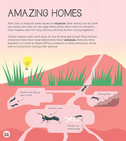 Entomology Activity Book