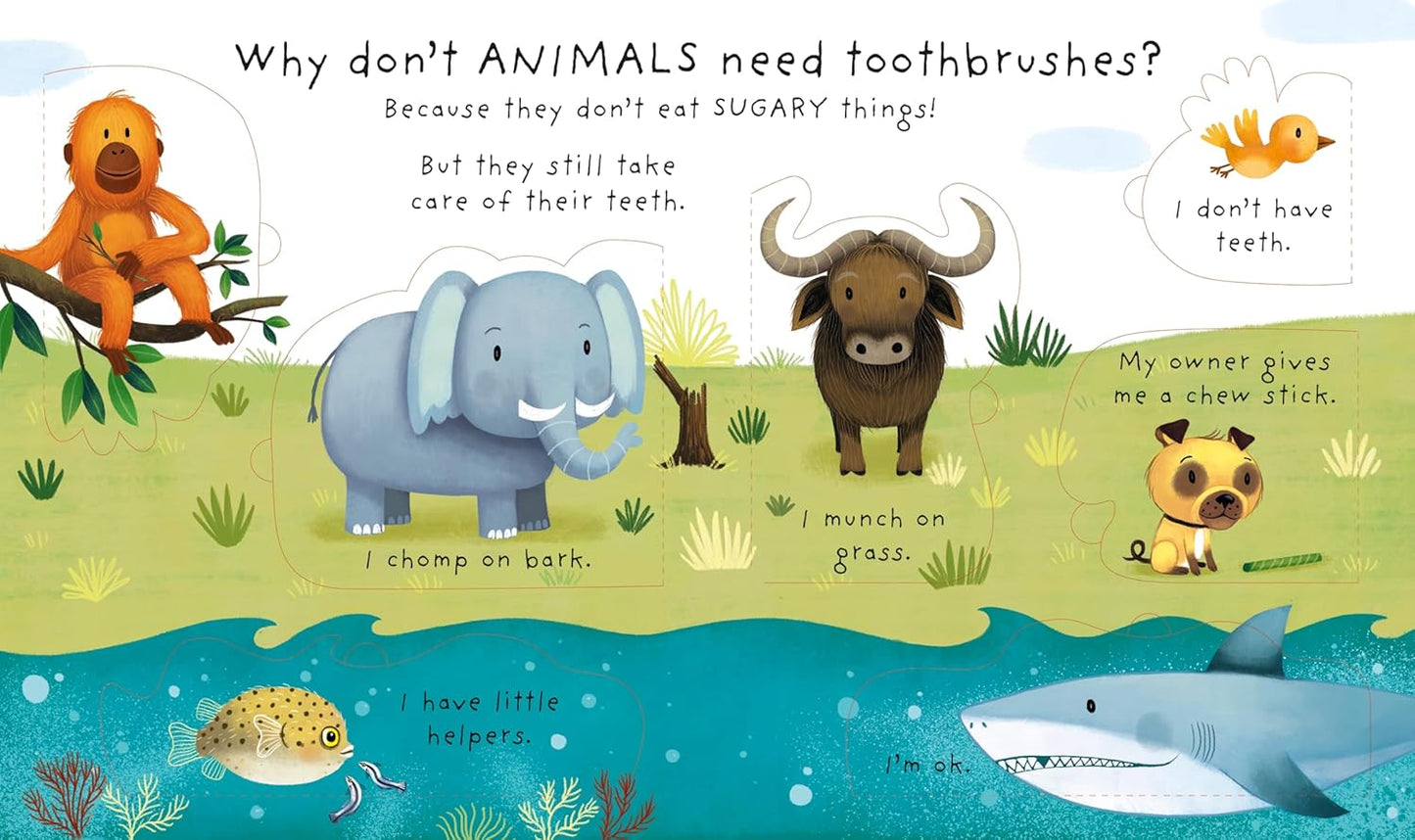 Very First Questions And Answers: Why Should I Brush My Teeth?