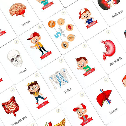 The Curious Bees Flash Cards - High Contrast New Born Anti-Glare Cards & Other Variants
