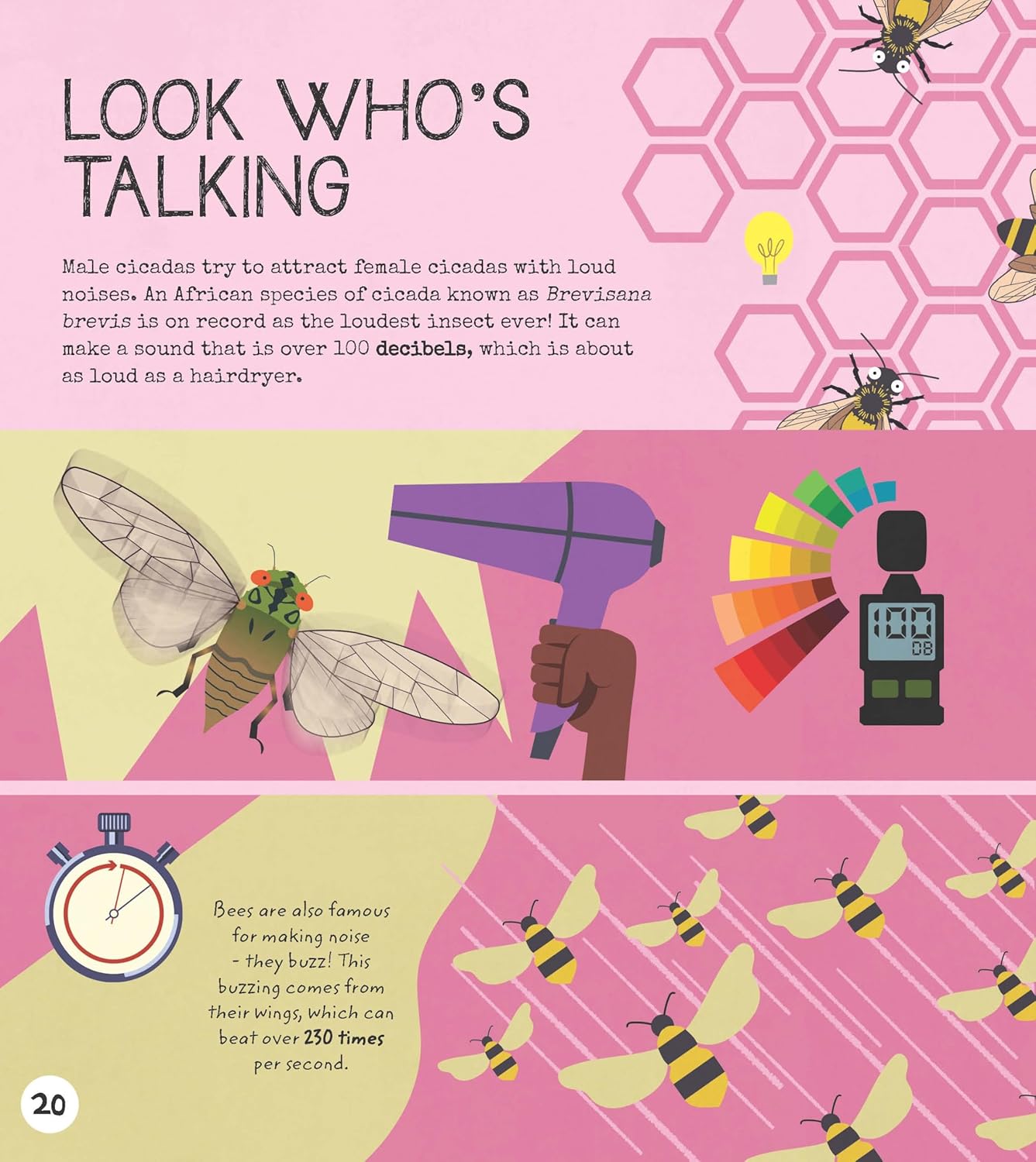 Entomology Activity Book